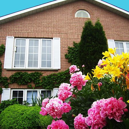 Opus 74 Bed & Breakfast ストラトフォード エクステリア 写真