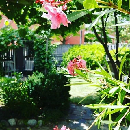 Opus 74 Bed & Breakfast ストラトフォード エクステリア 写真