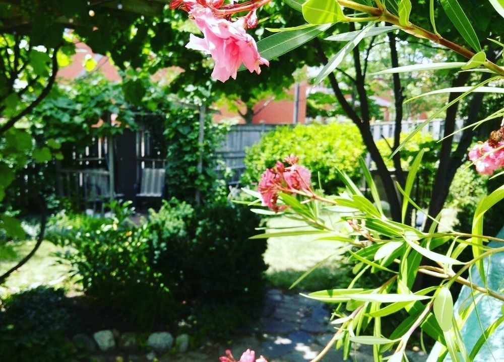 Opus 74 Bed & Breakfast ストラトフォード エクステリア 写真